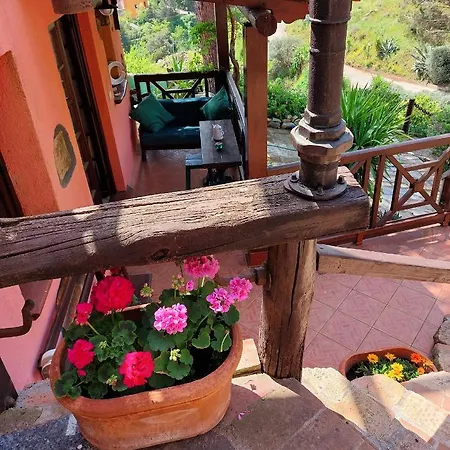 Dei Fichi D'india * Rio dellʼElba